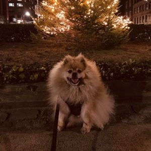 Meet your Posher, Marie-noelle